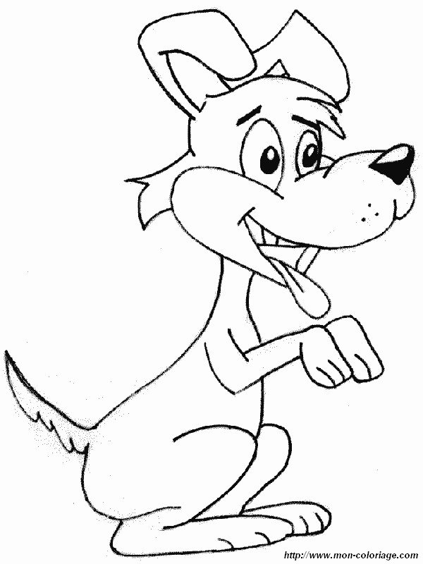 immagine un cane curioso