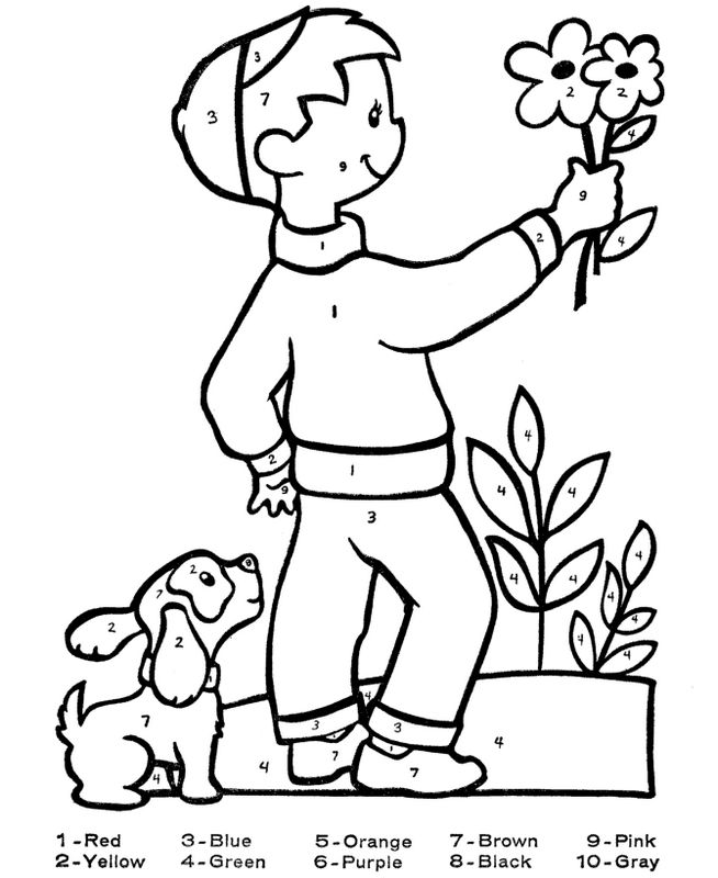 immagine Lui raccoglie fiori con il suo cane