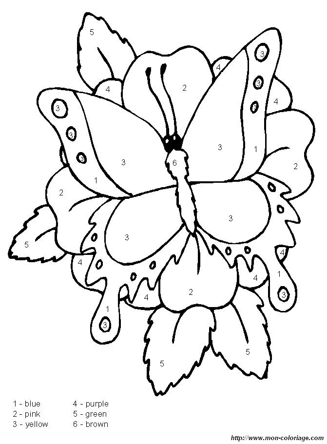 immagine farfalla