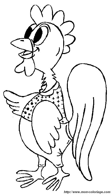 immagine un gallo