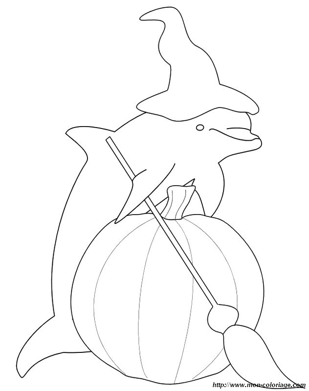 immagine delfino per halloween