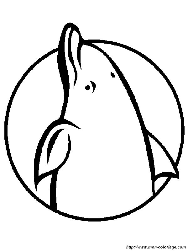 immagine logo delfino