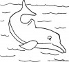delfino 04