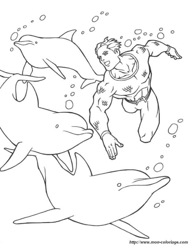 immagine nuota con i delfini