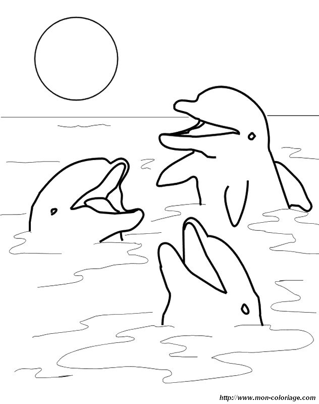 immagine tre delfini che cantano