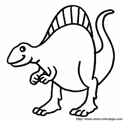 immagine dinosauro 17