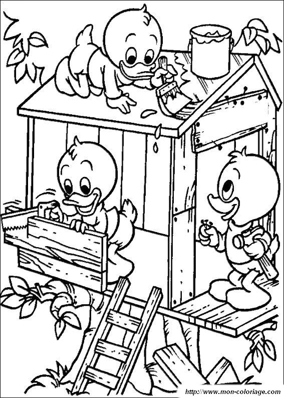 immagine Donald13