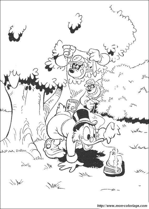 immagine Donald53