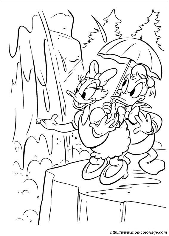 immagine Donald61