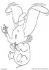 immagini dumbo