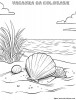 Spiagge per i bambini