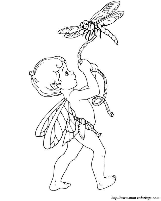 immagine con una libellula