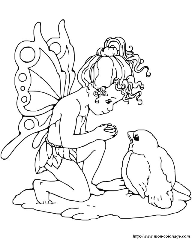 immagine uccello e fata