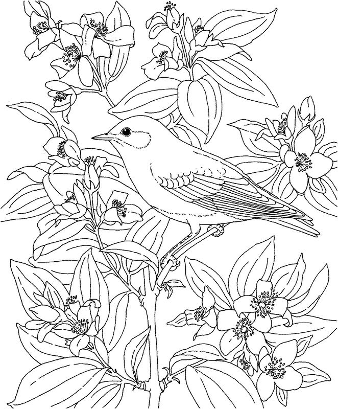 immagine Un uccello su fiori