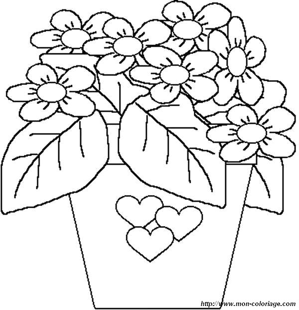 immagine bouquet di fiori