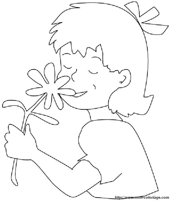 immagine fiore profumo