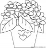 bouquet di fiori
