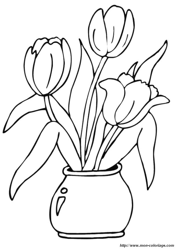 immagine tulipani
