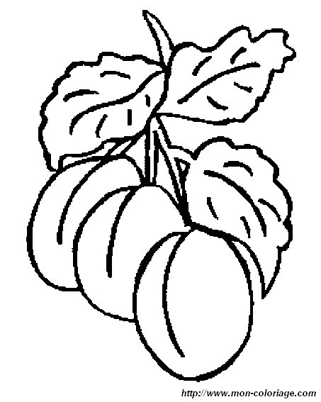 immagine frutta 6