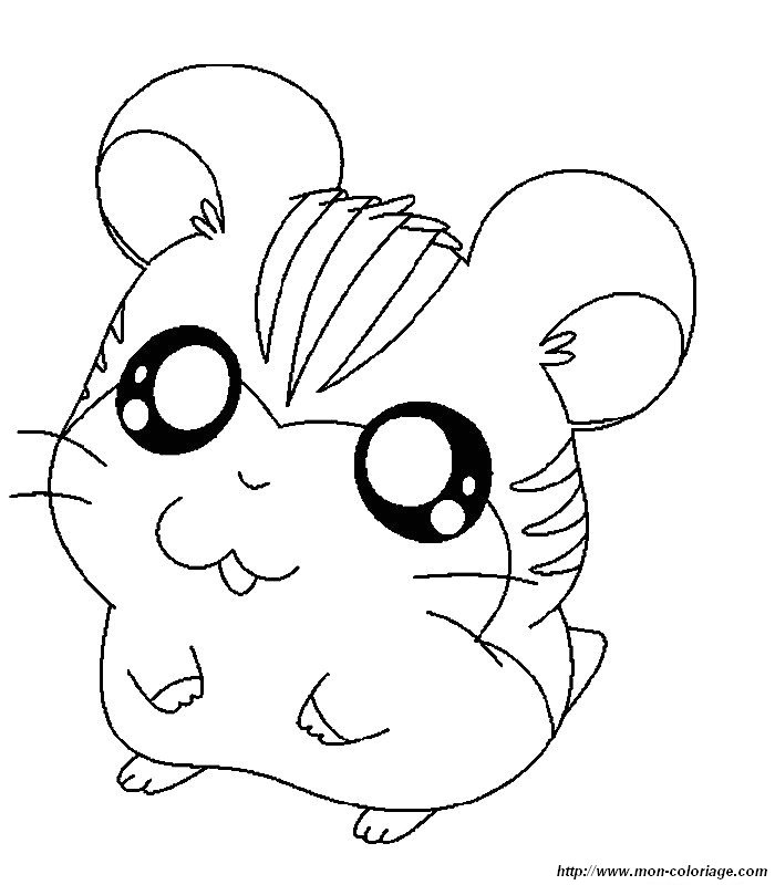 immagine disegni hamtaro