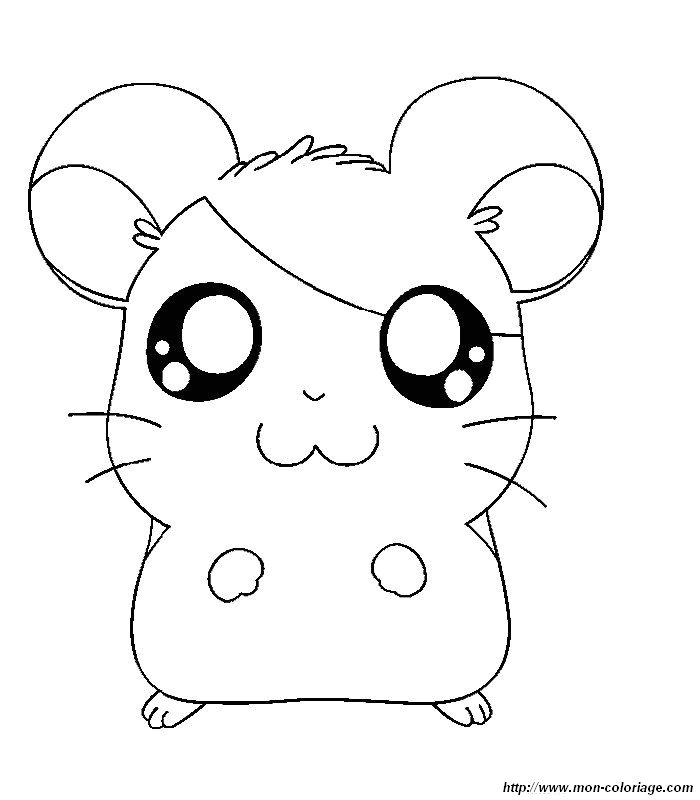 immagine hamtaro