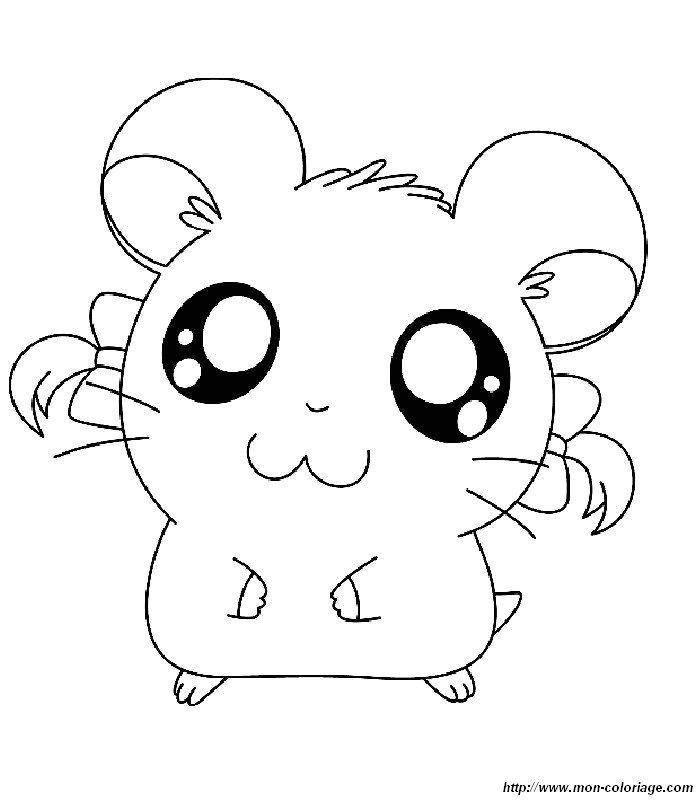 immagine immagini hamtaro