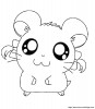 immagini hamtaro