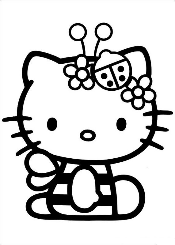 immagine Hello Kitty piccola ape