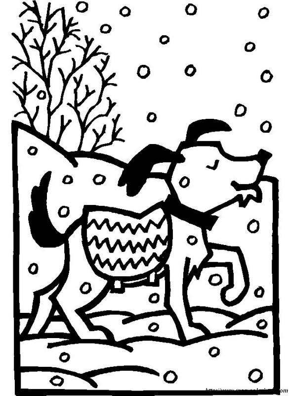 immagine cane neve