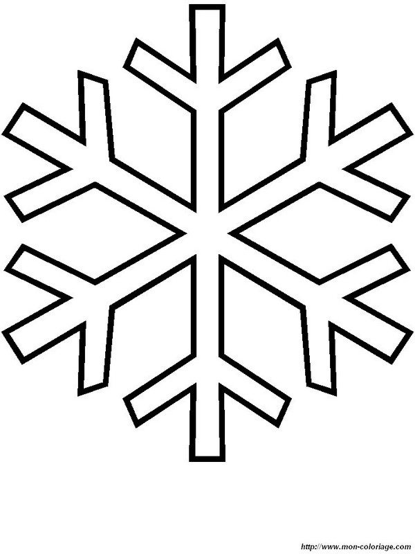 immagine fiocco di neve 1