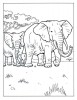 Due elefanti con un bambino