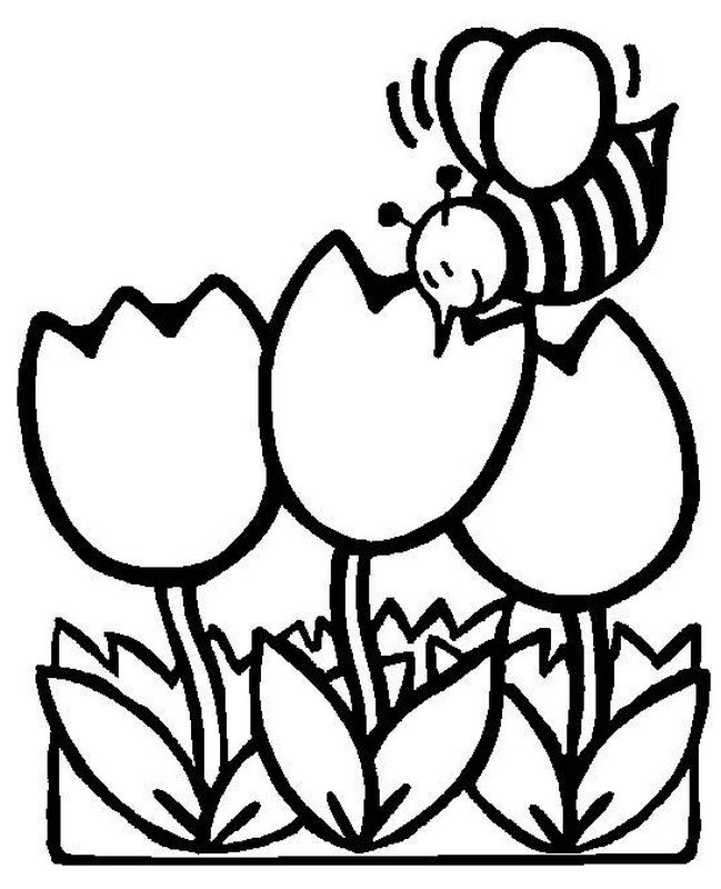 immagine Un ape e un tulipano