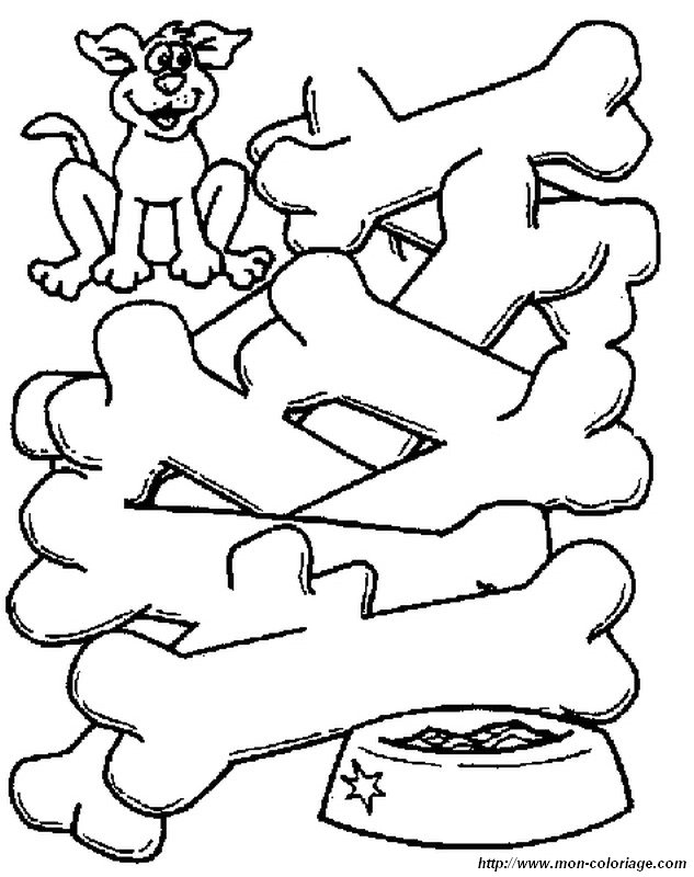immagine Un labirinto per il cane