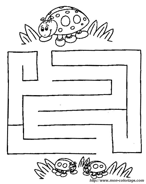 immagine animali labirinto 1