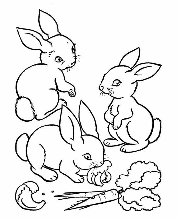 immagine Tre coniglietti