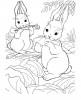 Due conigli mangiano carote
