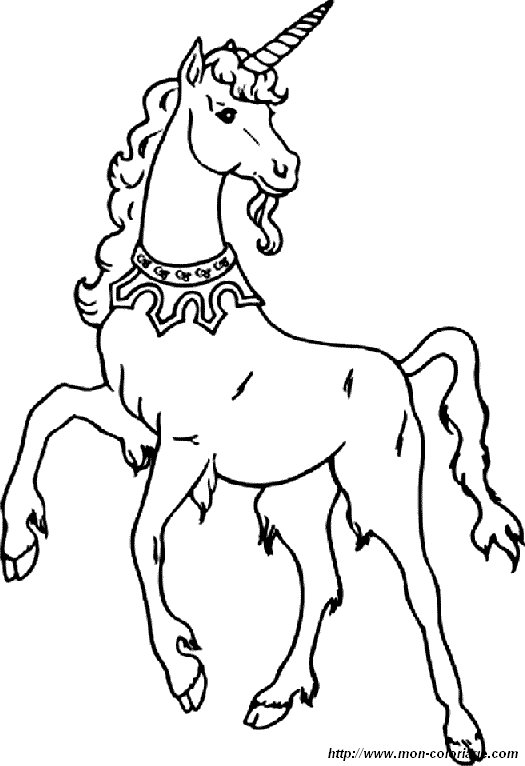 immagine 1 unicorno
