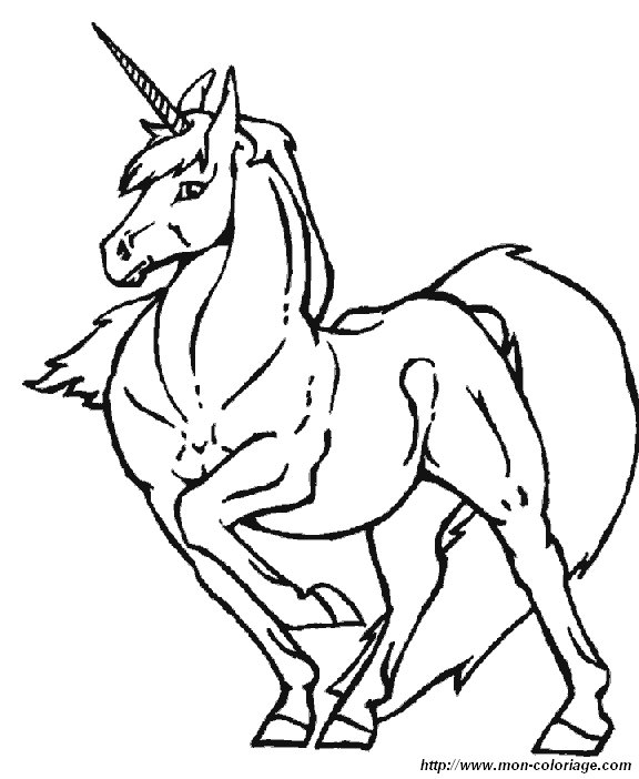 immagine 2 unicorno