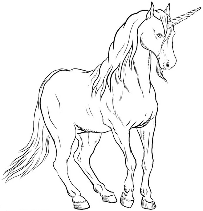 immagine Un bellissimo unicorno