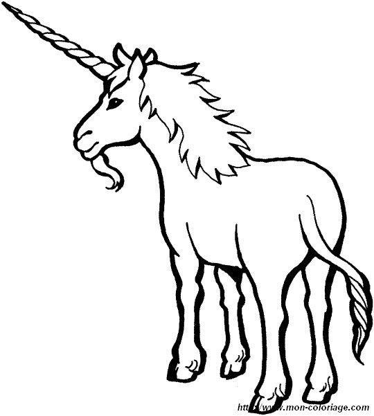 immagine unicorno 2