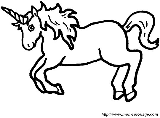 immagine unicorno 3