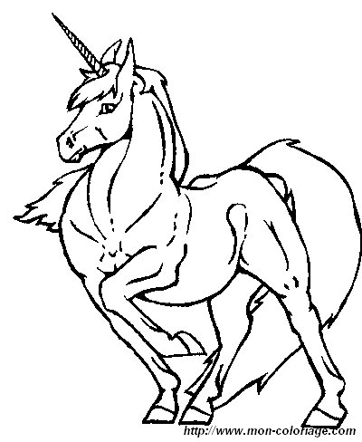 immagine unicorno