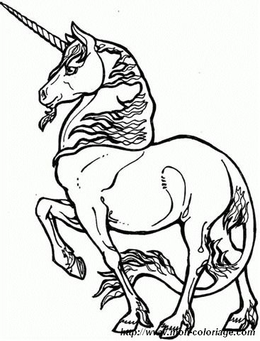 immagine unicorno 1