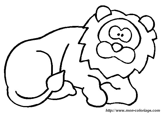 immagine 1 leone
