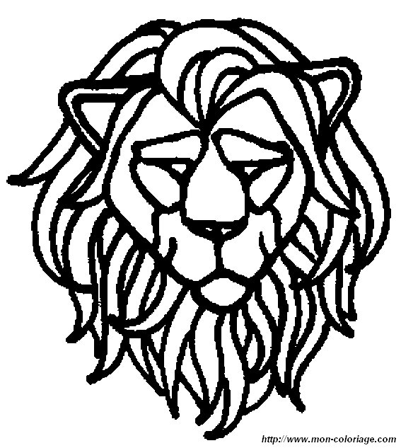 immagine 10 leone