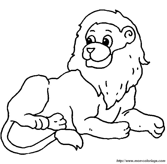 immagine leone animali