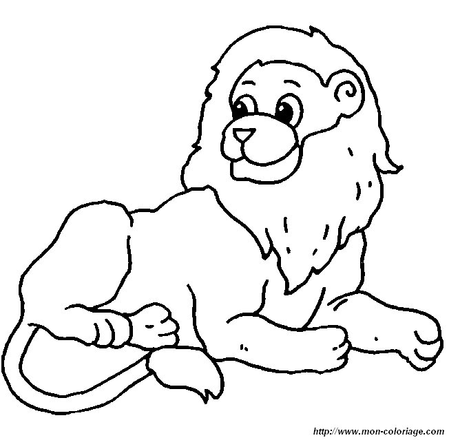 Colorare Leone Disegno Leone Animali