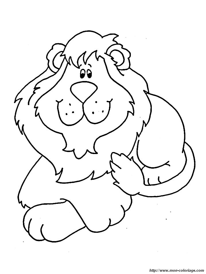 immagine leone 005
