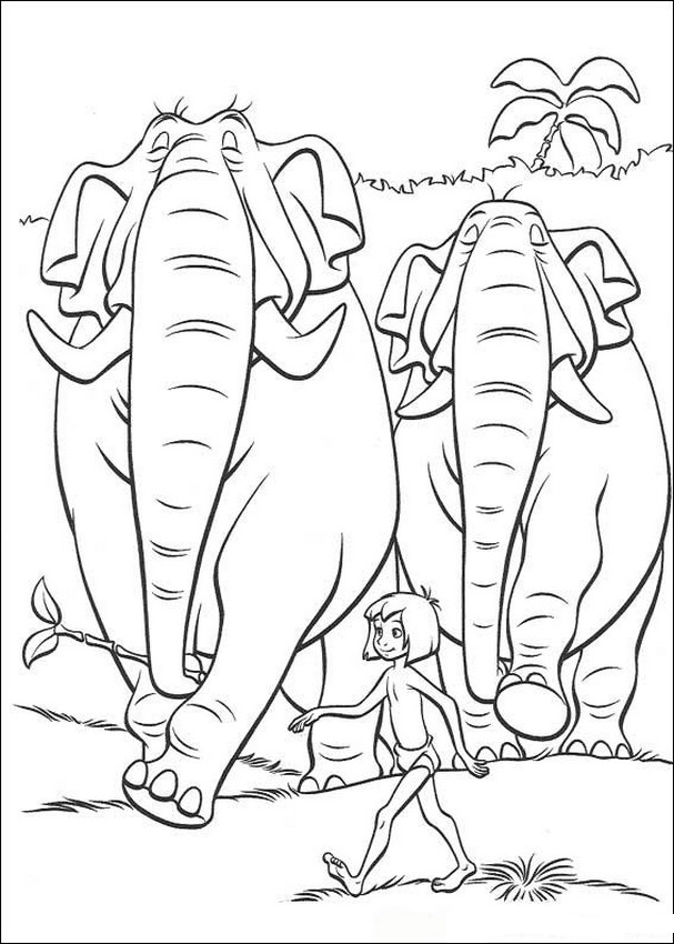immagine Il gruppo di elefanti