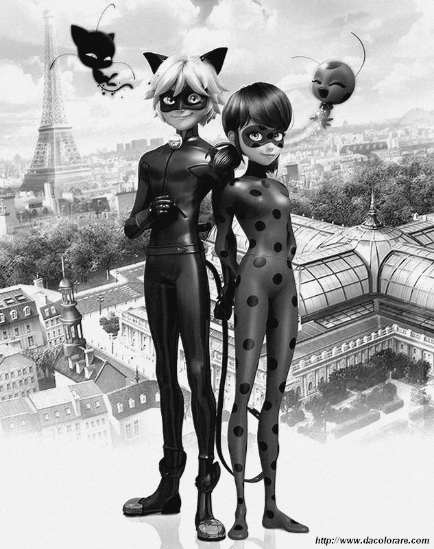 immagine Miraculous Ladybug